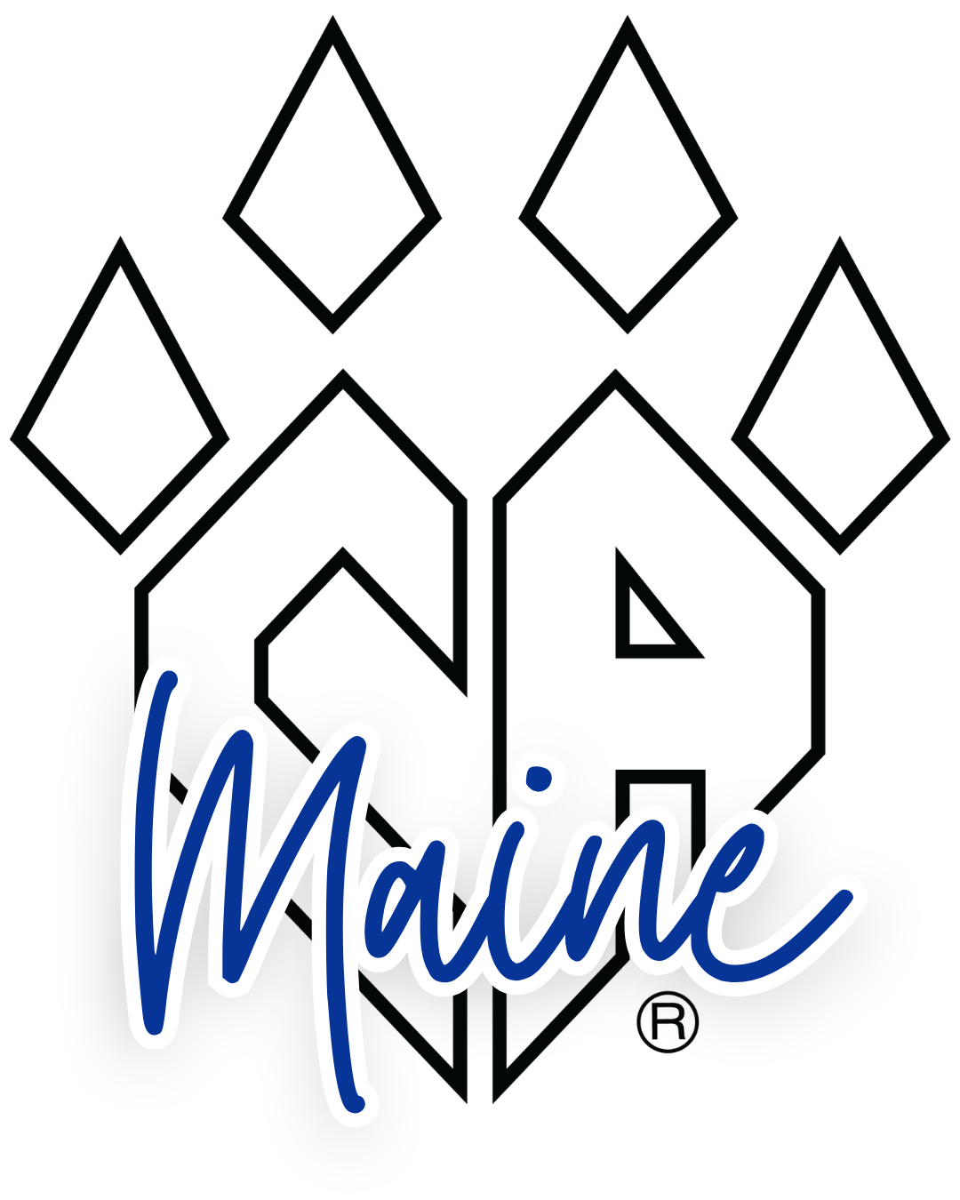 Cheer Athletics Maine